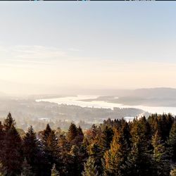 Great Vancouver Homes