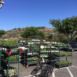Jamul True Value Hardware - Veggie Plants