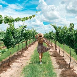 Augusta Vin Winery