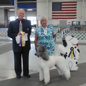 Midge's Pet Grooming - Best in show! - Pet Groomers Near Me - Greeley, Colorado