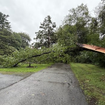 Mitsdarfer Brothers Tree Service - Snow Removal Near Me - Newark, Delaware Mitsdarfer Brothers Tree Service - Snow Removal Near Me - Newark, Delaware