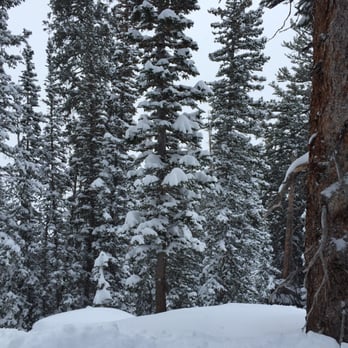 Snowbird - Ski Resorts Near Me - Snowbird, Utah