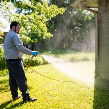 Innovative Pest Control - Pest Control Near Me - Tyler, Texas Innovative Pest Control - Pest Control Near Me - Tyler, Texas