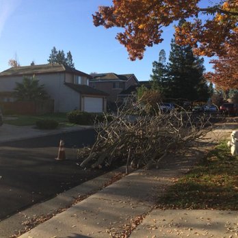 H G Tree Service - Tree Services Near Me H G Tree Service - Tree Services Near Me