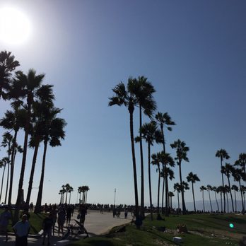 Venice Statepark - Beaches Near Me - Venice, California Venice Statepark - Beaches Near Me - Venice, California
