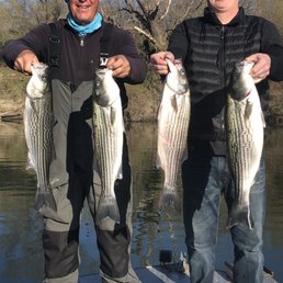 Striped bass fishing on the Feather River. Striped bass fishing on the Feather River.