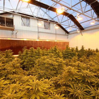 Durango Organics - Cannabis Clinics Near Me - Durango, Colorado