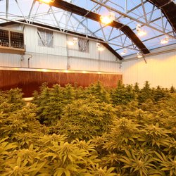 Durango Organics