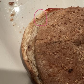 Coach House Diner - Zoomed in and see the roach. - Diners Near Me - Hackensack, New Jersey
