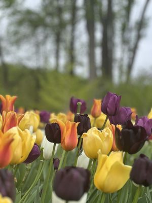 BROOKSIDE GARDENS - Updated September 2025 - 1871 Photos & 297 Reviews