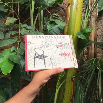 Palreal - The restaurant menu with plants in the background. - Cafeteria Near Me - Guadalajara, JAL