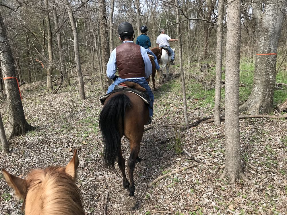 Rocking B Stables - equestrian in Austin, TX