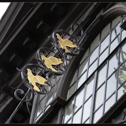 Three Pigeons