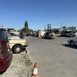 American Import Auto Dismantlers - The yard