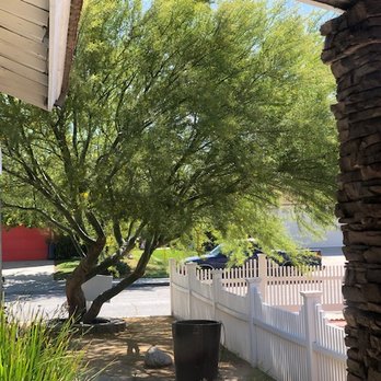 JBS Tree Care - Original tree picture, which was cut really well but I'm too lazy to upload an after photo. - Tree Services Near Me - Pomona, California