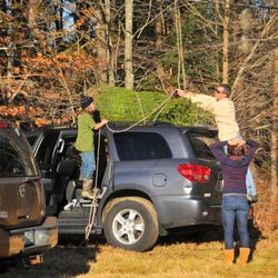Tonry Tree Farm