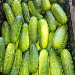 Way Farms -  Waverly
