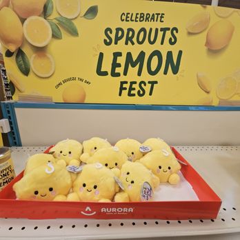 Sprouts Farmers Market - 3-8-25. Cute plushie - Grocery Near Me - Sunnyvale, California