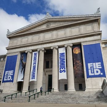Field Museum - Museums Near Me - Chicago, Illinois
