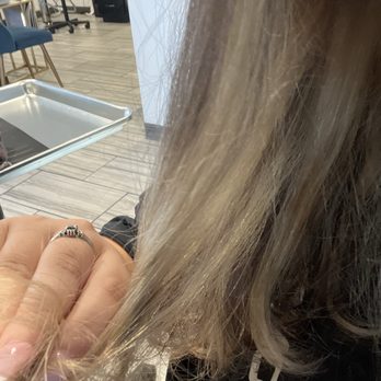 Salon 955 - Hair Coloring - Single-Process Color Women's Haircut - Hair Salons Near Me - Lafayette, California Salon 955 - Hair Coloring - Single-Process Color Women's Haircut - Hair Salons Near Me - Lafayette, California