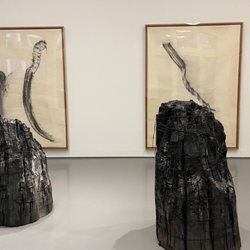 Fondation Phi pour l'Art Contemporain - Expo Lee Bae