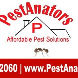Pestanators