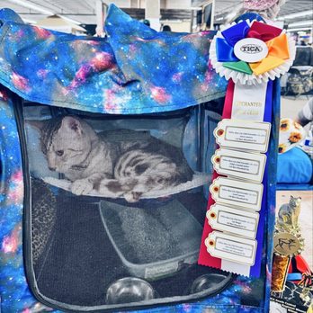 National Western Complex - Double decker award-winning cats at Catfest 2024 - Venues & Event Spaces Near Me - Denver, Colorado National Western Complex - Double decker award-winning cats at Catfest 2024 - Venues & Event Spaces Near Me - Denver, Colorado