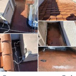 Prestige Pigeon Service - Cleaned area.