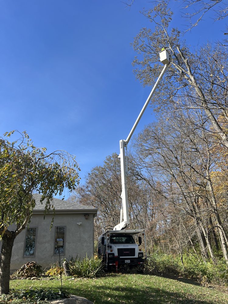 Great Dane Tree Experts & Landscaping - tree service in Delaware, OH