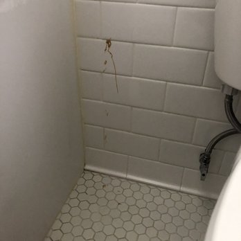 Dial A Bug Pest Control - Floor and wall splatter in my bathroom. - Pest Control Near Me