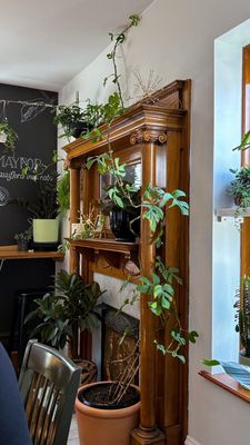 Maypop Coffee & Garden Shop by null