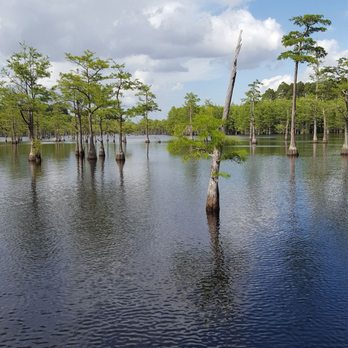 George L Smith State Park - Parks Near Me - Twin City, Georgia