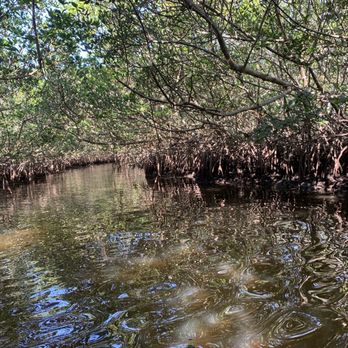 Caladesi Island State Park - Parks Near Me - Dunedin, Florida