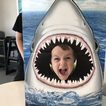 Soda Rush - Came in for Shark Week... - Desserts Near Me - Mesa, Arizona Soda Rush - Came in for Shark Week... - Desserts Near Me - Mesa, Arizona