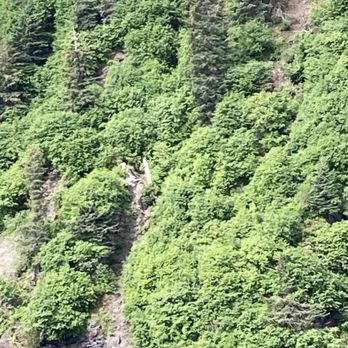 Major Marine Tours - Boating Near Me - Seward, Alaska