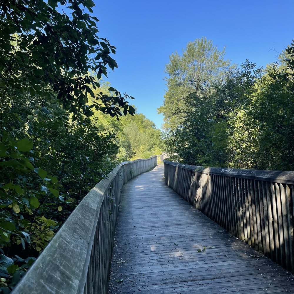 River Woods Park - Parks Near Me - Auburn Hills, Michigan River Woods Park - Parks Near Me - Auburn Hills, Michigan