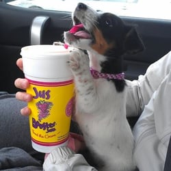 Booster Juice - I just had to share this photo haha. It was on booster juices fb page