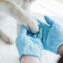 Photo of All Animal Health Center