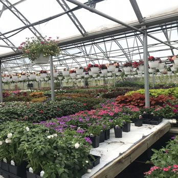 Yonder Farms - Plants stretching out into the distance - Nurseries & Gardening Near Me - Troy, New York Yonder Farms - Plants stretching out into the distance - Nurseries & Gardening Near Me - Troy, New York
