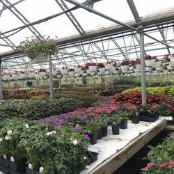Yonder Farms - Plants stretching out into the distance