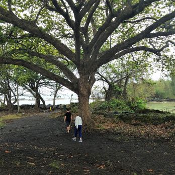 Carlsmith Beach Park - lots of shade - Parks Near Me - Hilo, Hawaii