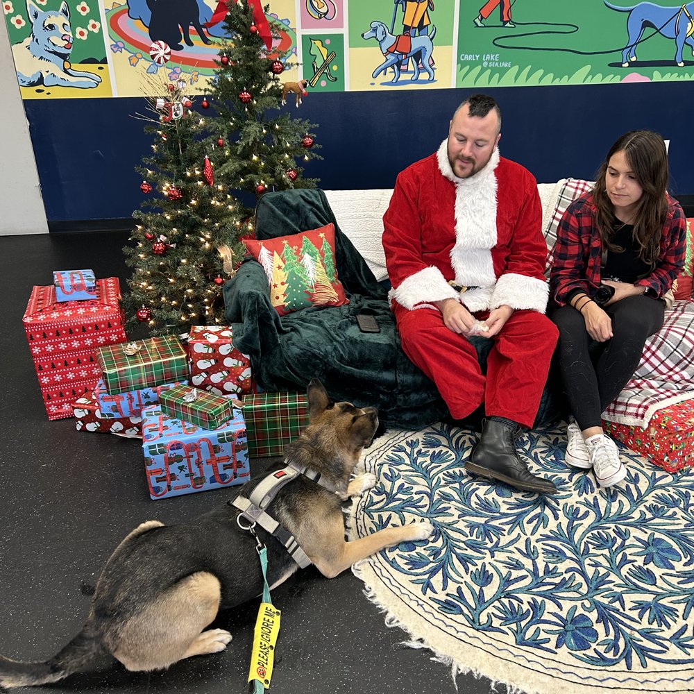 Clickstart Dog Training Academy - Photos with Santa - warming up before the costume is completed so Alex can see it's one of his favorite people, Michael - Pet Training Near Me - Lake Forest, California
