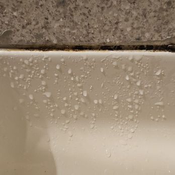 State House Inn - Mold growing - Hotels Near Me - Springfield, Illinois State House Inn - Mold growing - Hotels Near Me - Springfield, Illinois