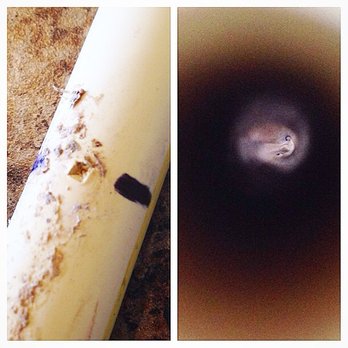 Tri Pointe Homes - 4/20/18: Nail in pipe from builder/contractor negligence causing massive water damage to my house. - Home Developers Near Me - Potomac, Maryland Tri Pointe Homes - 4/20/18: Nail in pipe from builder/contractor negligence causing massive water damage to my house. - Home Developers Near Me - Potomac, Maryland