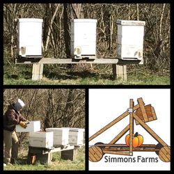 Simmons Farms - Farm fresh local raw honey!