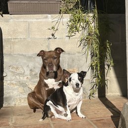 Coco and Luka Coco and Luka