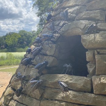 Bee Cave Sculpture Park - Parks Near Me - Bee Cave, Texas