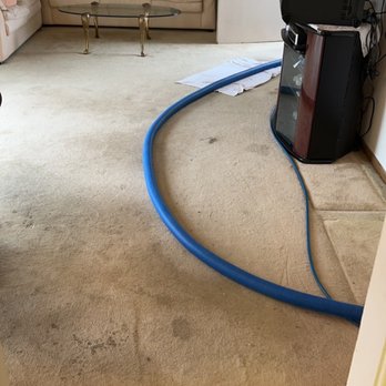 Efren's Carpet Cleaning - The "Before" pic of my stained carpet with dark spilled spots. - Carpet Cleaning Near Me Efren's Carpet Cleaning - The "Before" pic of my stained carpet with dark spilled spots. - Carpet Cleaning Near Me