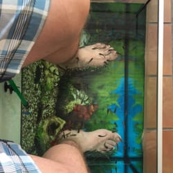 Fish Spa
