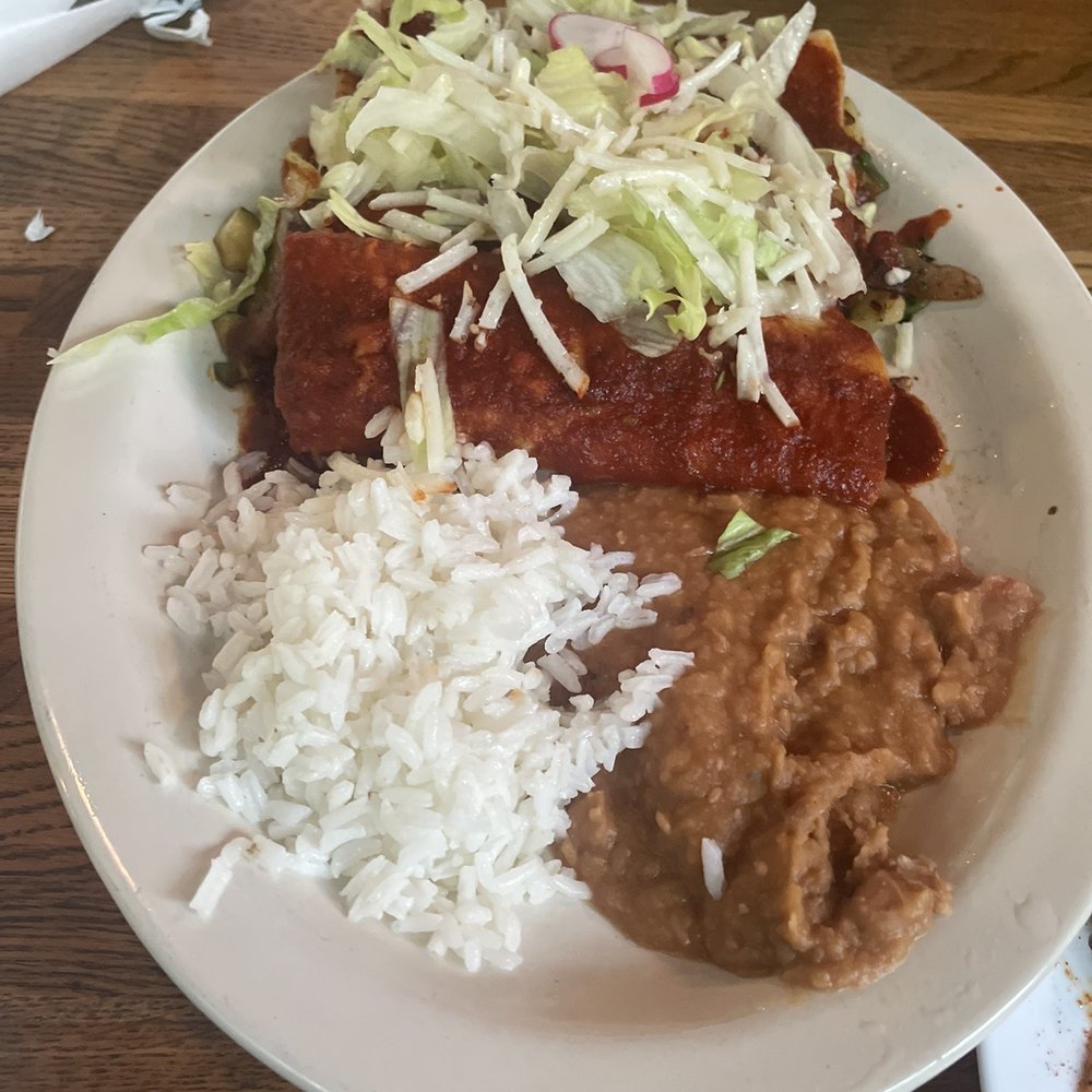 Nopal - Vegetable Enchiladas - Mexican Near Me - Gainesville, Florida Nopal - Vegetable Enchiladas - Mexican Near Me - Gainesville, Florida